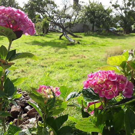 Terre De Reveries Maisoncelles-la-Jourdan Екстер'єр фото