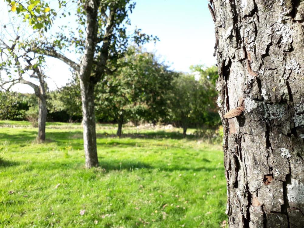 Terre De Reveries Maisoncelles-la-Jourdan Екстер'єр фото